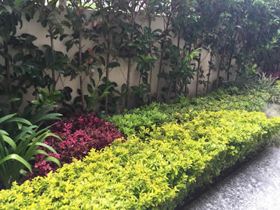 diseño de jardineria